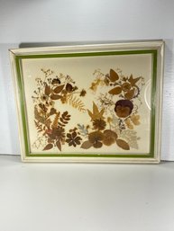 16 X 13 Pressed Leaves & Flowers Wall Hanging In Frame