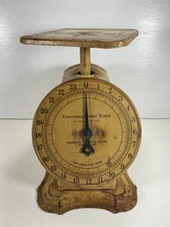 Vintage 24 Pound Columbia Family Scale