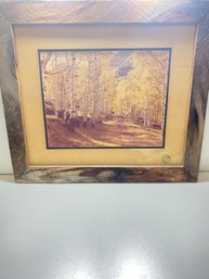 22x19 Fall Foliage Pathway Print Matted In Wooden Frame Wall Hanging