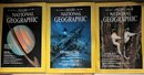 Lot Of 18 National Geographic Magazines (1981 & 1989)