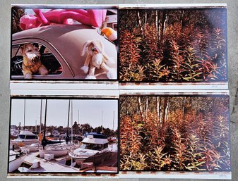 Lot Of 4 Large Photographs By Ralph Wolff