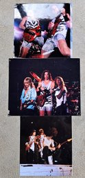 Lot Of 3 Ted Nugent Photographs By Ralph Wolff