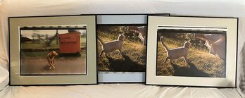 3 Matching Frames / Matted & Glass