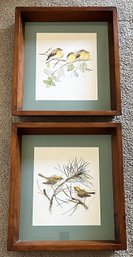 Sunken Wood Frame Bird Pictures Lot Of 2 - (BR3)