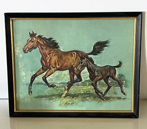 Vintage Horse Picture - Metal Frame