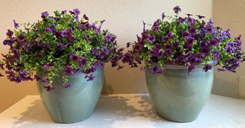 Potted Silk Violets