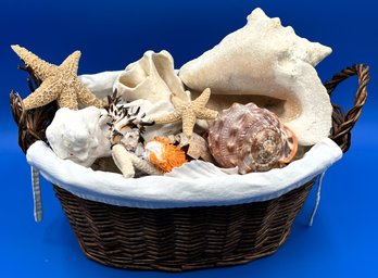 Wicker Basket Filled With Beautiful Seashells, Starfish, Coral, Conch Shells & More. - (KS)