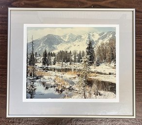 Picture Of Aspen By Photographer Ken Hutchinson - Metal Frame