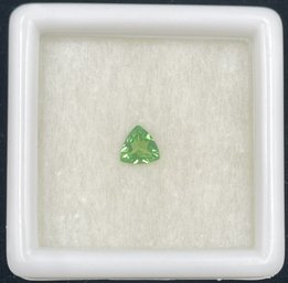 Gorgeous Triangular Tsavorite Garnet #31