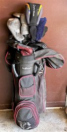 Vintage Golf Bag & 16 Clubs