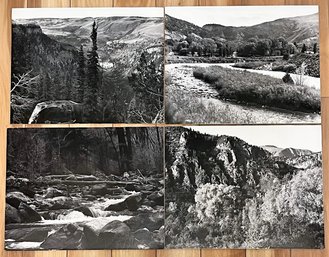 Lot Of 4 Black & White Outdoor Photographs On Photo Boards