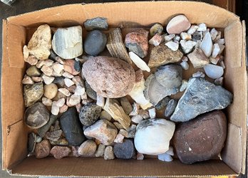 Box Of Rocks #5