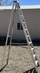 Aluminum 12 Foot Step Ladder - (SY)
