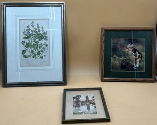 3 Pictures With Frames - (FRH)