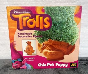 NIB Chia Pet - Poppy From Trolls