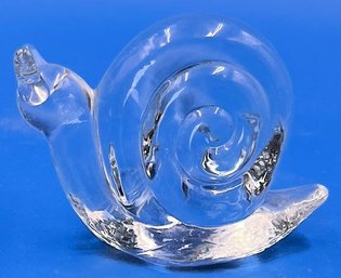 Small Glass Snail - (FR)