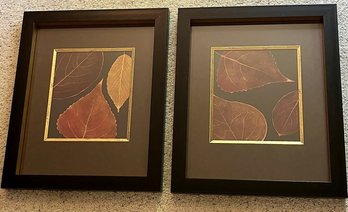 2 Wood Framed Pressed Leaf Pictures