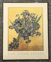 Van Gogh Irises Metal Framed Print - (BR3)