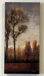 Stretched Canvas Print - Tall Trees II - By Time Otoole - (BBR2)