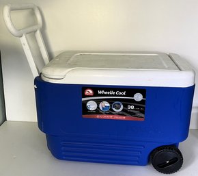 Igloo Cooler - (B8)