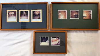 Photographs By Ralph Wolff In Matching Frames (A9)