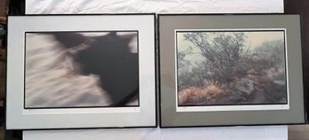 Wall Art - Signed Pieces By Carol Johnson (a18)