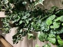 Large Grouping Of Faux Plants