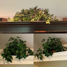 Grouping Of Faux Silk Ivy Plants