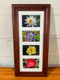 Framed Floral Photographs
