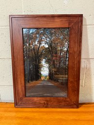 Framed Photograph Of Tree Lined Road