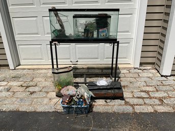A Well Loved Fish Aquarium And Supplies