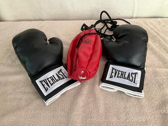 Everlast Boxing Gloves And Striking Bag