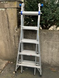 Werner Telescoping Adjustable Ladder