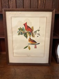 Cardinal Grosbeak By John James Audubon Framed Painting Print