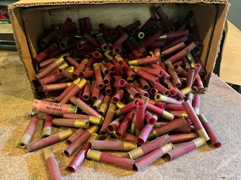 Grouping Of Empty 410 Shells