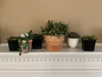 Grouping Of Faux Succulent Plants