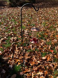 Glass And Brushed Bronze Hummingbird Feeder Incl. Sheperds Hook