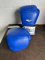 Pair Of Everlast Boxing Gloves