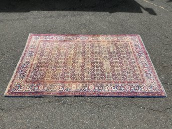 Hand-knotted Area Rug