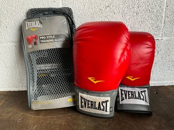 Everlast Boxing Pro Style Training Gloves