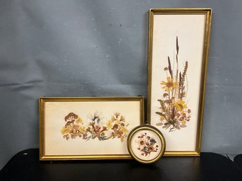 Framed Dried Floral Arragnments