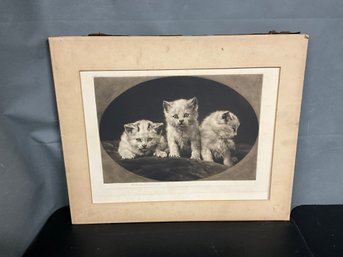 Herbert Thomas Dicksee Signed Etching Of Three Kittens