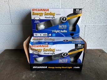 Sylvia Is Energy Saving Indoor Flood Lights