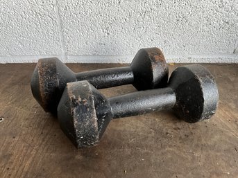 10lb Hand Weights