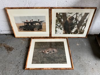 Grouping Of Vintage African Safari Frame Photographs