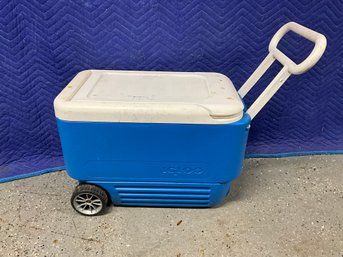 Igloo Insulated Cooler