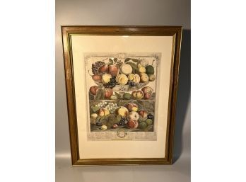 Fruit Engraving 'September' After 18th C.