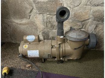 MagneTek Century Electric Centurion Switchless Motor Pool Pump