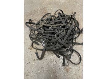 Lot Of Bungee Straps