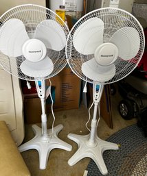 Two Honey Well Fans
